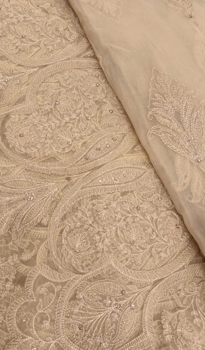 Laser Cutwork Applique Net Suit & Embroidered Chiffon Dupatta