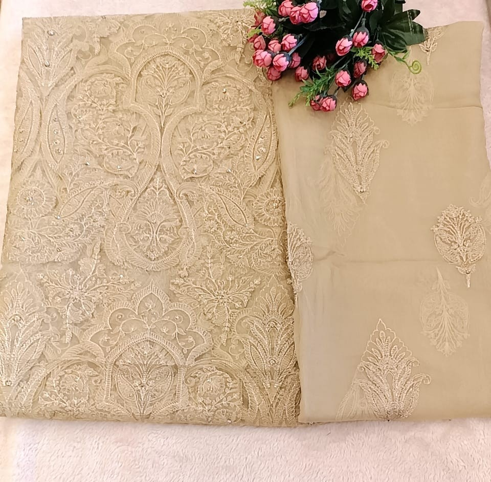 Laser Cutwork Applique Net Suit & Embroidered Chiffon Dupatta