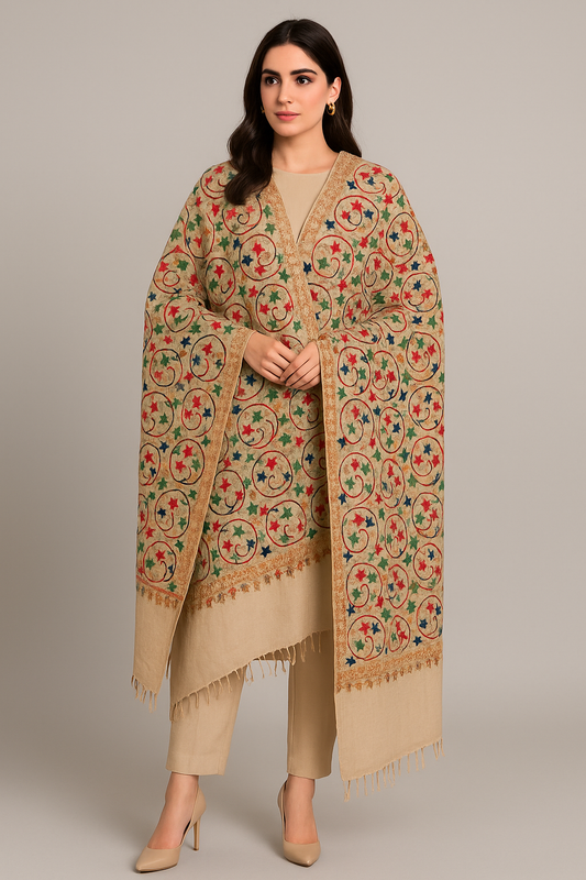 Multicolor Aari Embroidered Pashmina Shawl