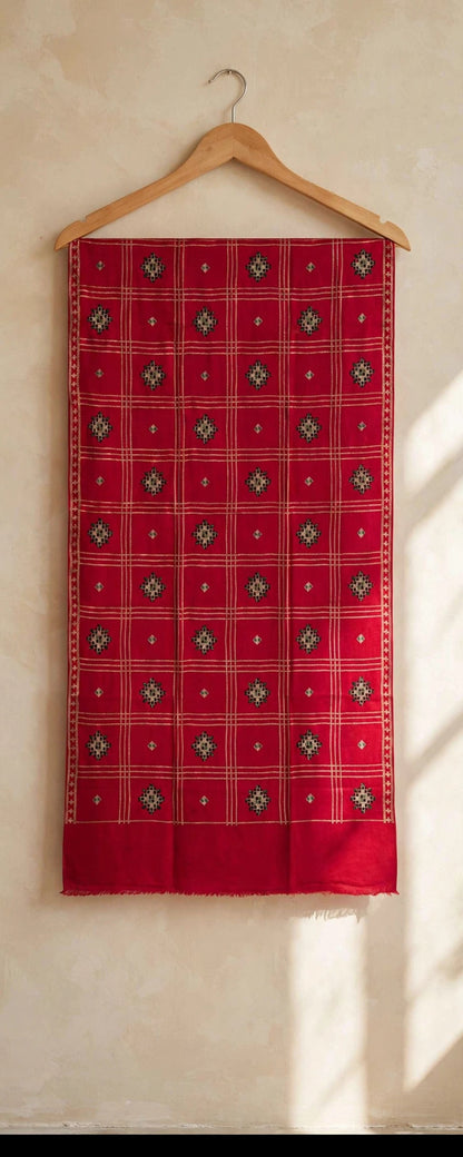 Ruby Red Embroidered Pashmina Shawl - Check Pattern with Mirror Work Motifs