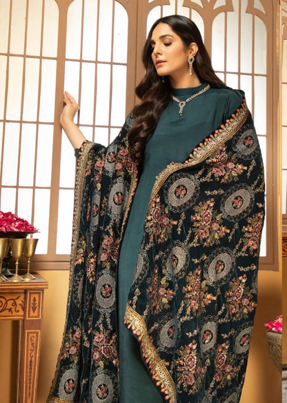 Velvet embroidered shawl