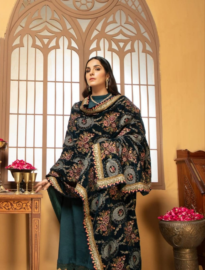 Velvet embroidered shawl